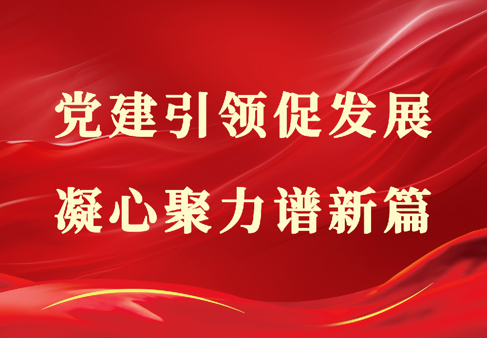党建引领促发展,凝心聚力谱新篇