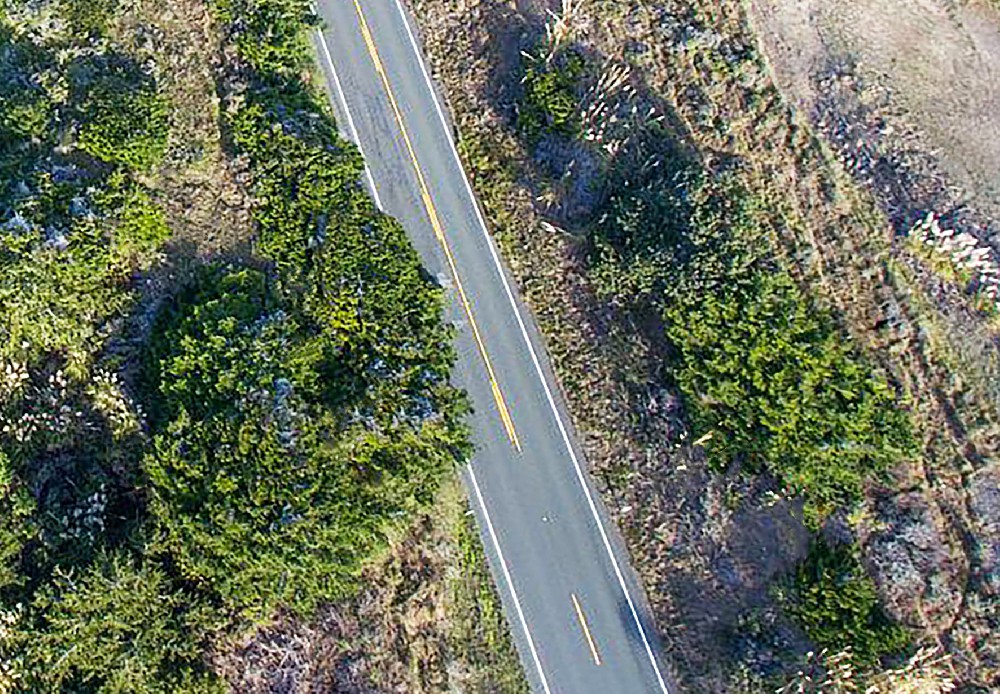 东丰县拉拉河至六道公路工程