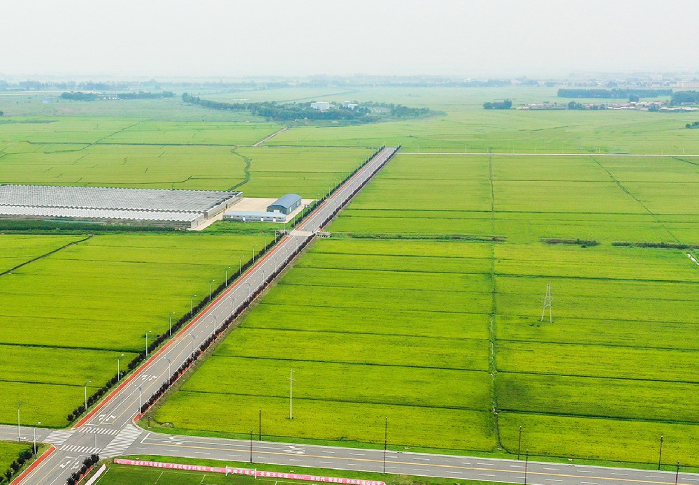 长春新湖镇高标准农田建设项目
