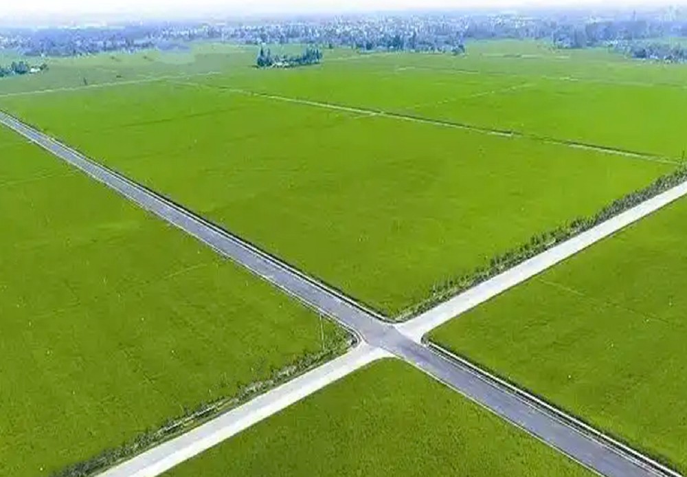 伊通县高标准农田建设项目