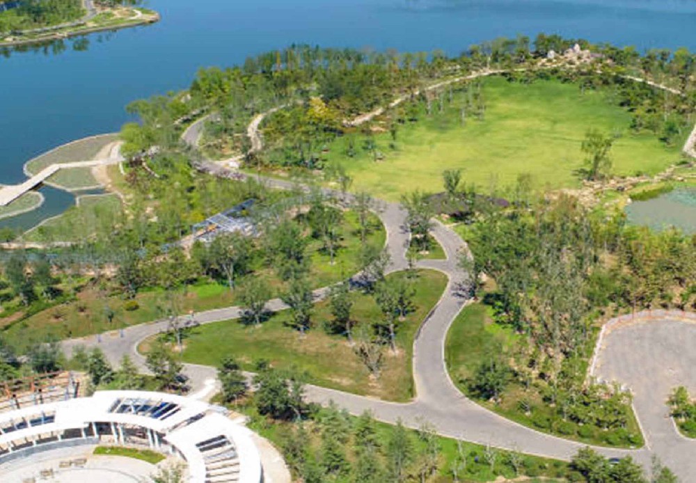 东营市东三路生态湿地工程