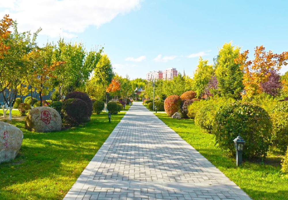 公主岭经济开发区绿化养护工程