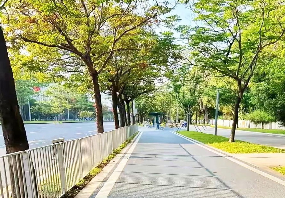 公主岭市人行道及台阶改造工程